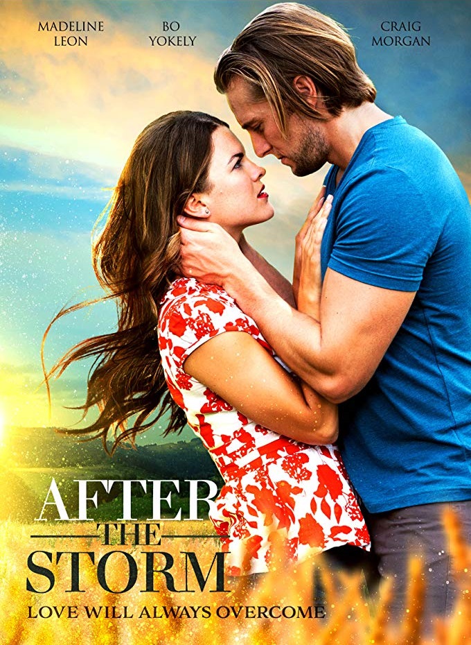 After The Storm - TRUEFRENCH WEBRiP