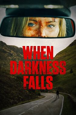 When darkness falls  - FRENCH WEBRip