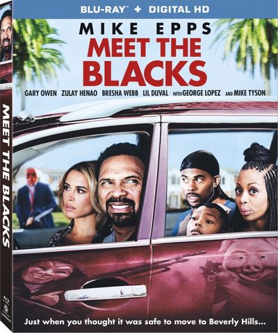 Meet The Blacks Blu-Ray 1080p MULTI