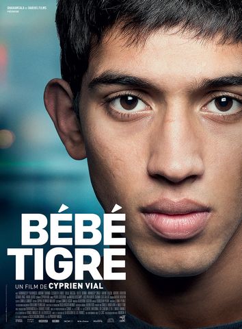Bebe Tigre DVDRIP French
