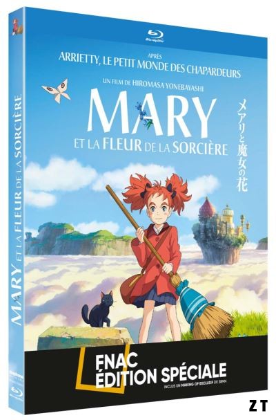 Mary et la fleur de la sorcière Blu-Ray 720p French