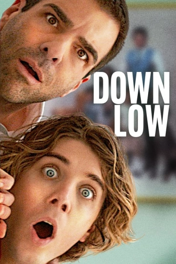 Down Low - FRENCH HDRIP