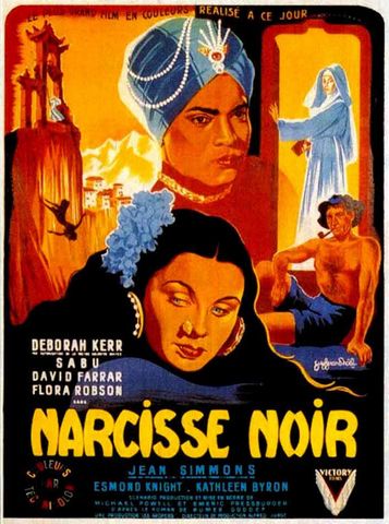 Le Narcisse noir BRRIP French