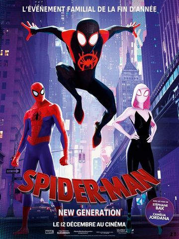 Spider-Man : New Generation DVDRIP MKV French