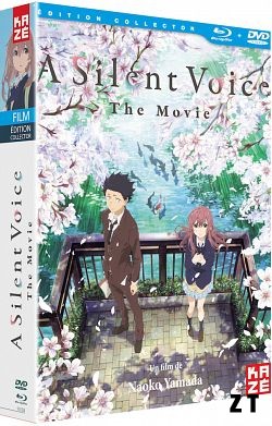 Silent Voice HDLight 720p French