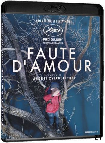 Faute d'amour Blu-Ray 1080p MULTI