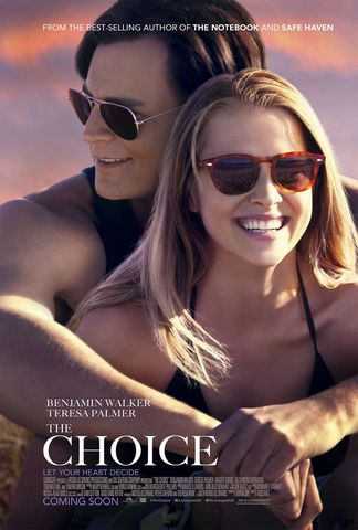 The Choice DVDRIP French