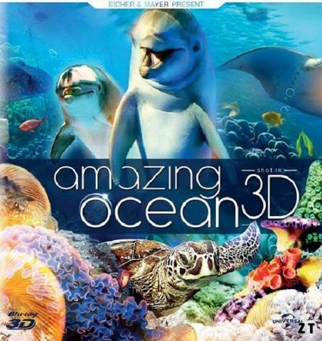 Amazing Ocean DVDRIP French