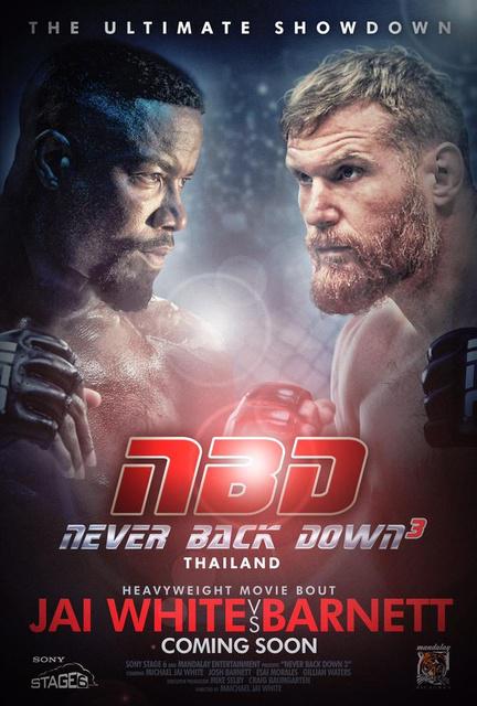 Never Back Down: No Surrender DVDRIP French