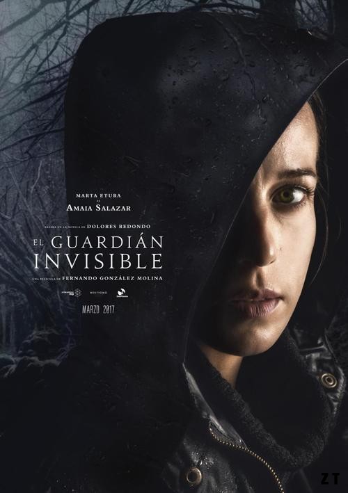 The Invisible Guardian Webrip French