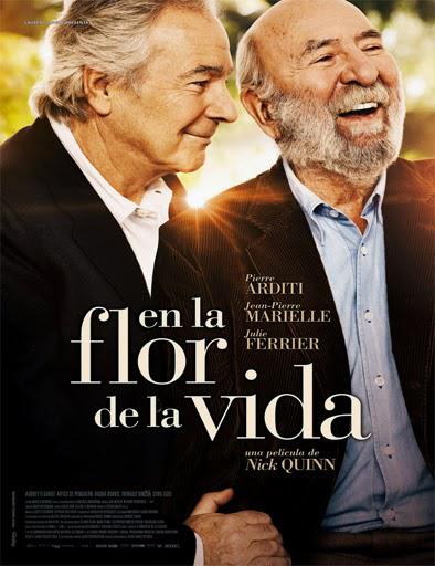 La Fleur De L'âge DVDRIP French