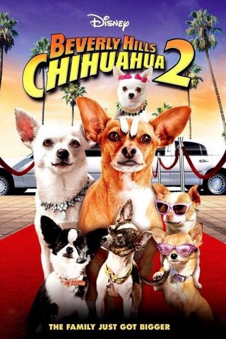 Le Chihuahua de Beverly Hills 2 HDLight 1080p MULTI