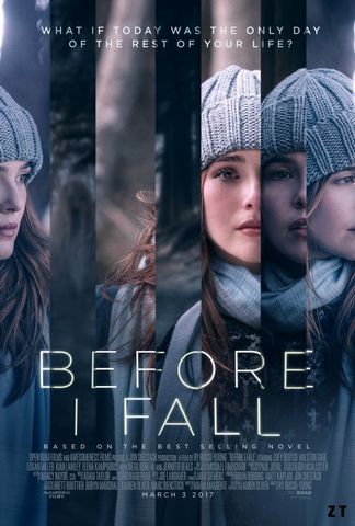 Before I Fall DVDRIP MKV French