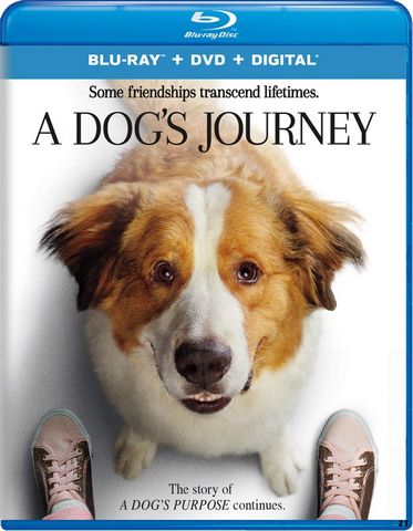 Mes autres vies de chien Blu-Ray 720p French