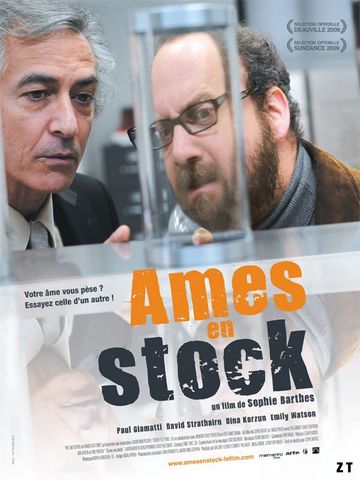 Ames en stock DVDRIP French
